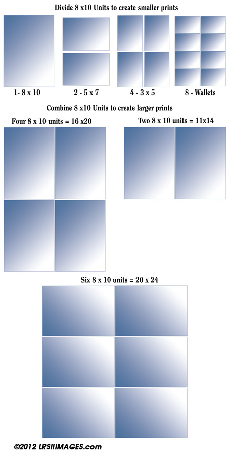 This image illustrates the 8x10 Unit use to make different size prints.