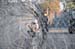 MarcyPsych0802_46